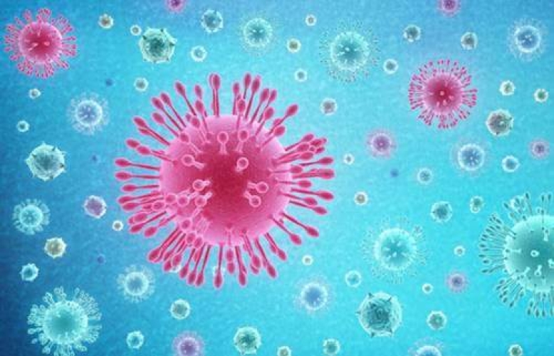 CORONAVIRUS: Covid-19 
